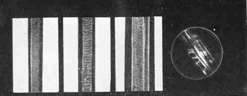 Сто лет криминалистики - i_034.jpg