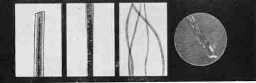 Сто лет криминалистики - i_035.jpg