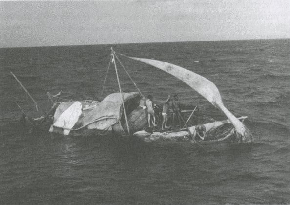 Тур Хейердал. Биография. Книга II. Человек и мир - i_102.jpg