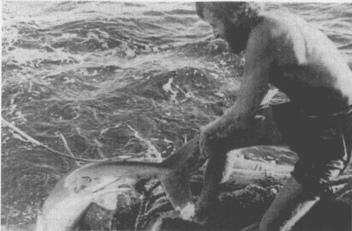 Тур Хейердал. Биография. Книга I. Человек и океан - i_090.jpg