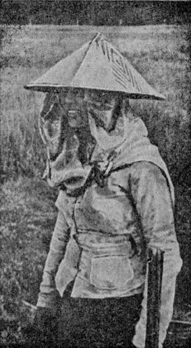 Жара и лихорадка - vol0126.jpg