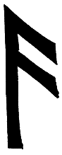 Поцелуй Валькирии (СИ) - i_007.png