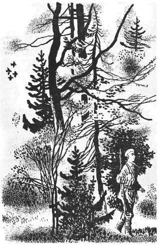 Том 1. Повести и рассказы 1879-1888 - i_002.jpg