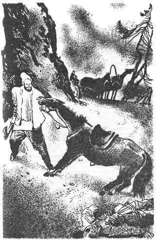 Том 1. Повести и рассказы 1879-1888 - i_005.jpg