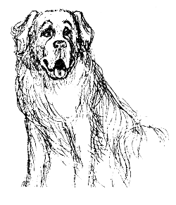 Леди удачи. Все пути… - i_008.png