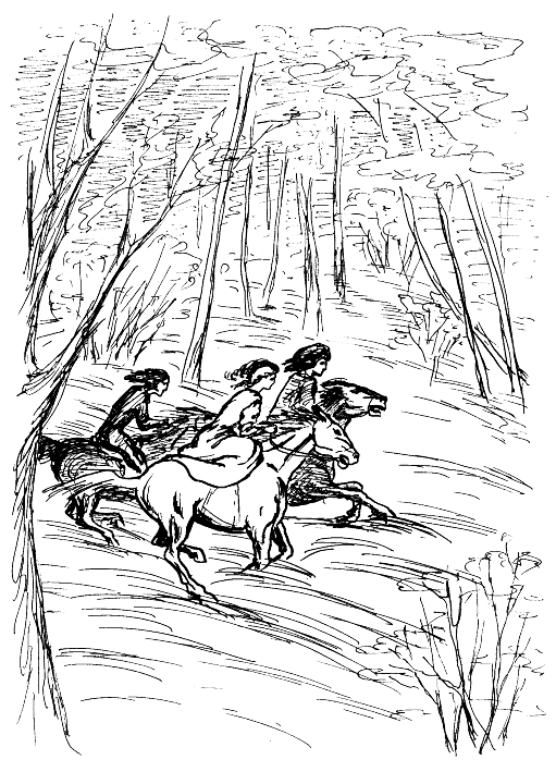 Леди удачи. Все пути… - i_031.png