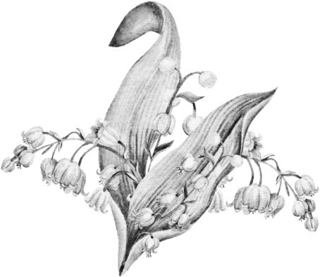 Леди Сьюзен - i_003.jpg