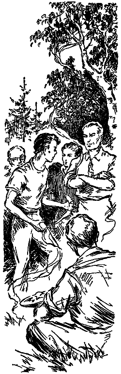 Фаэты (Журнальный вариант) - i_049.png