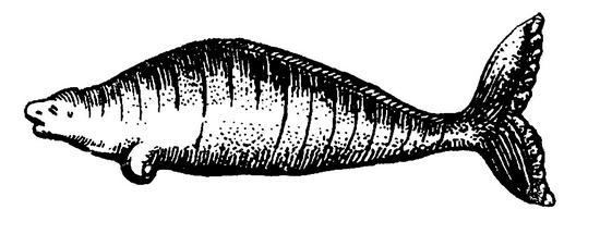 Беринг - _6.jpg