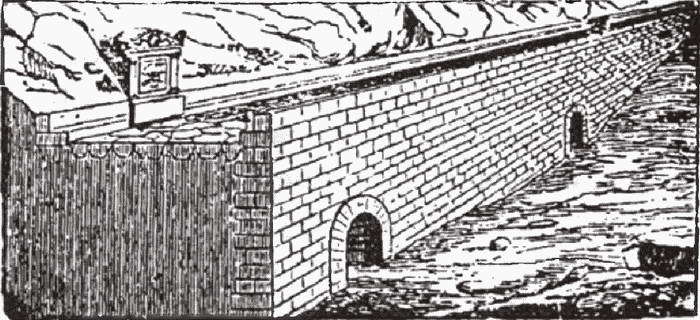 Голосуйте за Цезаря - i_007.jpg