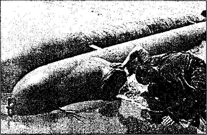 Уникальная и парадоксальная военная техника - _46.jpg