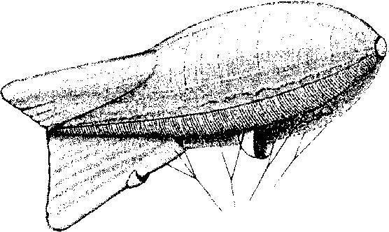 Уникальная и парадоксальная военная техника - _266.jpg