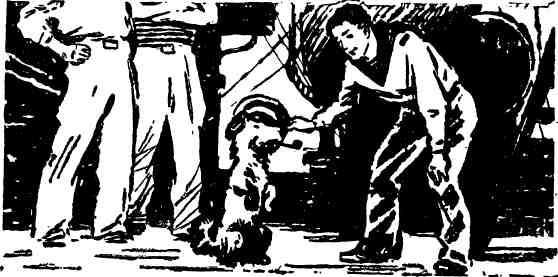 Поющие камни - img_20.jpg