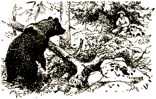 Тигр, олень, женьшень - i_007.png