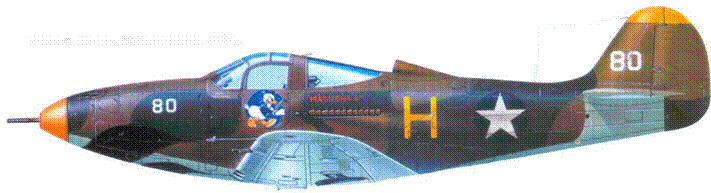 Р-39 «Аэрокобра» часть 1 - pic_129.png