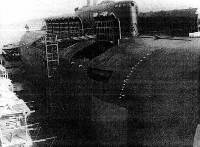 Ударная сила флота (подводные лодки типа «Курск») - pic_1.jpg