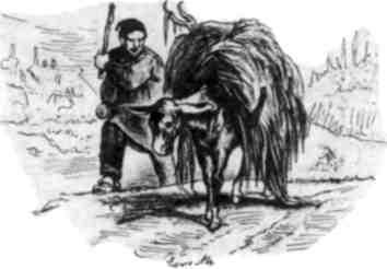 Мертвый осел и гильотинированная женщина - img_22.jpeg