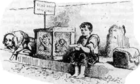 Мертвый осел и гильотинированная женщина - img_37.jpeg