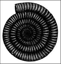 История искусства всех времён и народов Том 1 - i_034.jpg