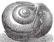 История искусства всех времён и народов Том 1 - i_610.jpg