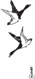 История искусства всех времён и народов Том 1 - i_627.jpg