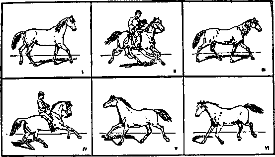 Всеобщая история кино. Том 1 (Изобретение кино 1832-1897, Пионеры кино 1897-1909) - i_006.png