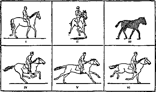 Всеобщая история кино. Том 1 (Изобретение кино 1832-1897, Пионеры кино 1897-1909) - i_007.png