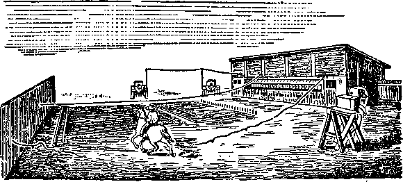 Всеобщая история кино. Том 1 (Изобретение кино 1832-1897, Пионеры кино 1897-1909) - i_008.png