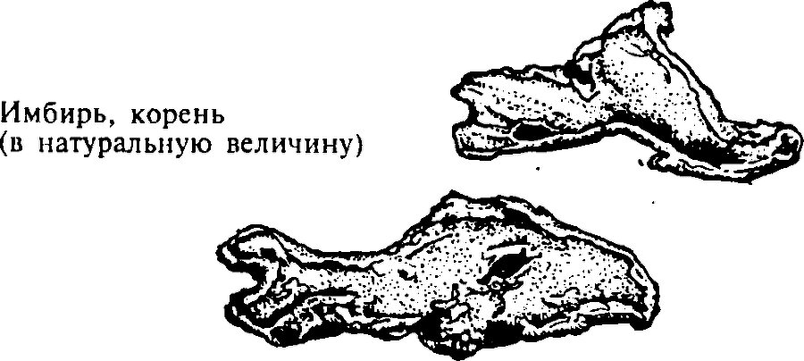 Большая энциклопедия кулинарного искусства. Все рецепты В.В. Похлёбкина - img_3.png