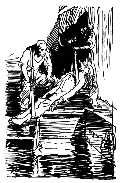 Собрание сочинений. Т. 17.  - i_014.png