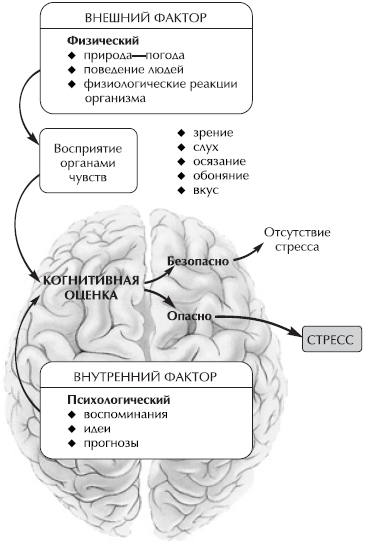 Антистресс-тренинг - i_003.png