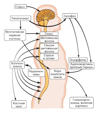 Антистресс-тренинг - i_004.png