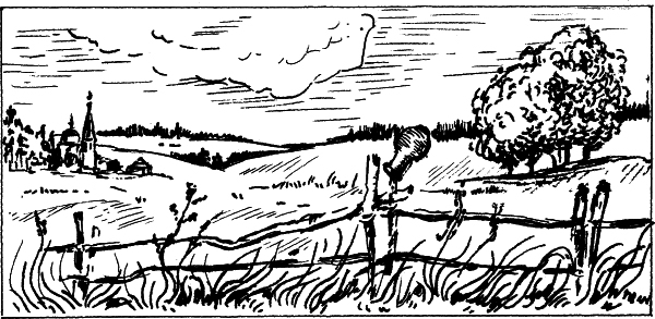 Юмористические рассказы - i_020.jpg