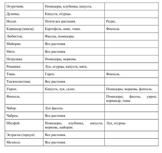 Про огород для бережливого и ленивого - BublikB.A.4roogoroddljaberezhlivogoilenivogo.jpg