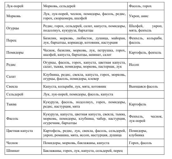 Про огород для бережливого и ленивого - BublikB.A.P22roogoroddljaberezhlivogoilenivogo.jpg