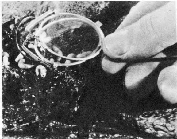 Всеобщая история кино. Том 4 (первый полутом). Послевоенные годы в странах Европы 1919-1929 - _62.jpg