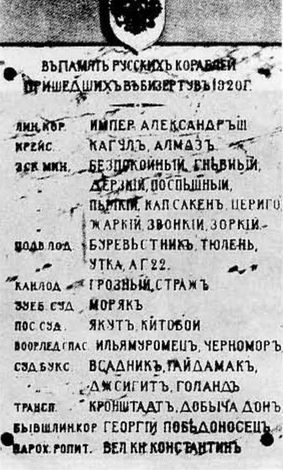 Тайны Белого движения. Победы и поражения. 1918–1920 годы - i_022.jpg