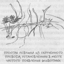 Практическое руководство аборигена по выживанию при чрезвычайных обстоятельствах и умению полагаться только на себя - i_032.jpg