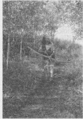 Практическое руководство аборигена по выживанию при чрезвычайных обстоятельствах и умению полагаться только на себя - i_034.jpg