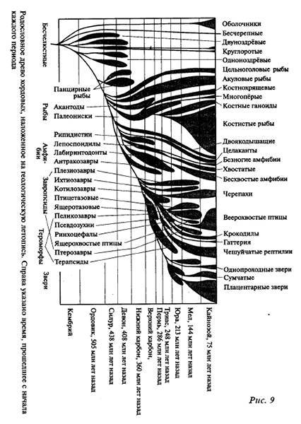 Тайная родословная человека. Загадка превращения людей в животных - i_009.jpg