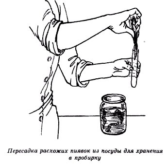 Секреты гирудотерапии - i_040.jpg