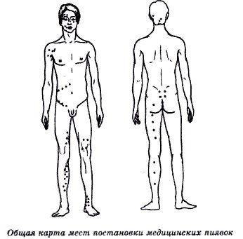 Секреты гирудотерапии - i_047.jpg