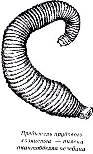 Секреты гирудотерапии - i_059.jpg