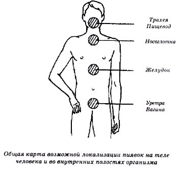 Секреты гирудотерапии - i_061.jpg