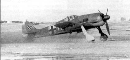 Асы люфтваффе пилоты Fw 190 на Восточном фронте - pic_5.jpg