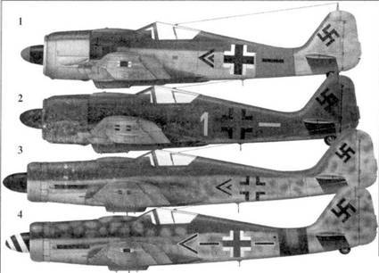 Асы люфтваффе пилоты Fw 190 на Восточном фронте - pic_8.jpg