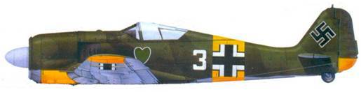 Асы люфтваффе пилоты Fw 190 на Восточном фронте - pic_150.jpg