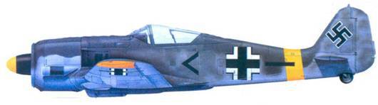 Асы люфтваффе пилоты Fw 190 на Восточном фронте - pic_165.jpg