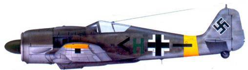 Асы люфтваффе пилоты Fw 190 на Восточном фронте - pic_173.jpg