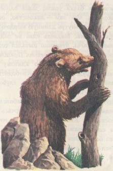 Рассказы о зоопарке - i_025.jpg